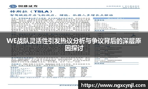 WE战队灵活性引发热议分析与争议背后的深层原因探讨